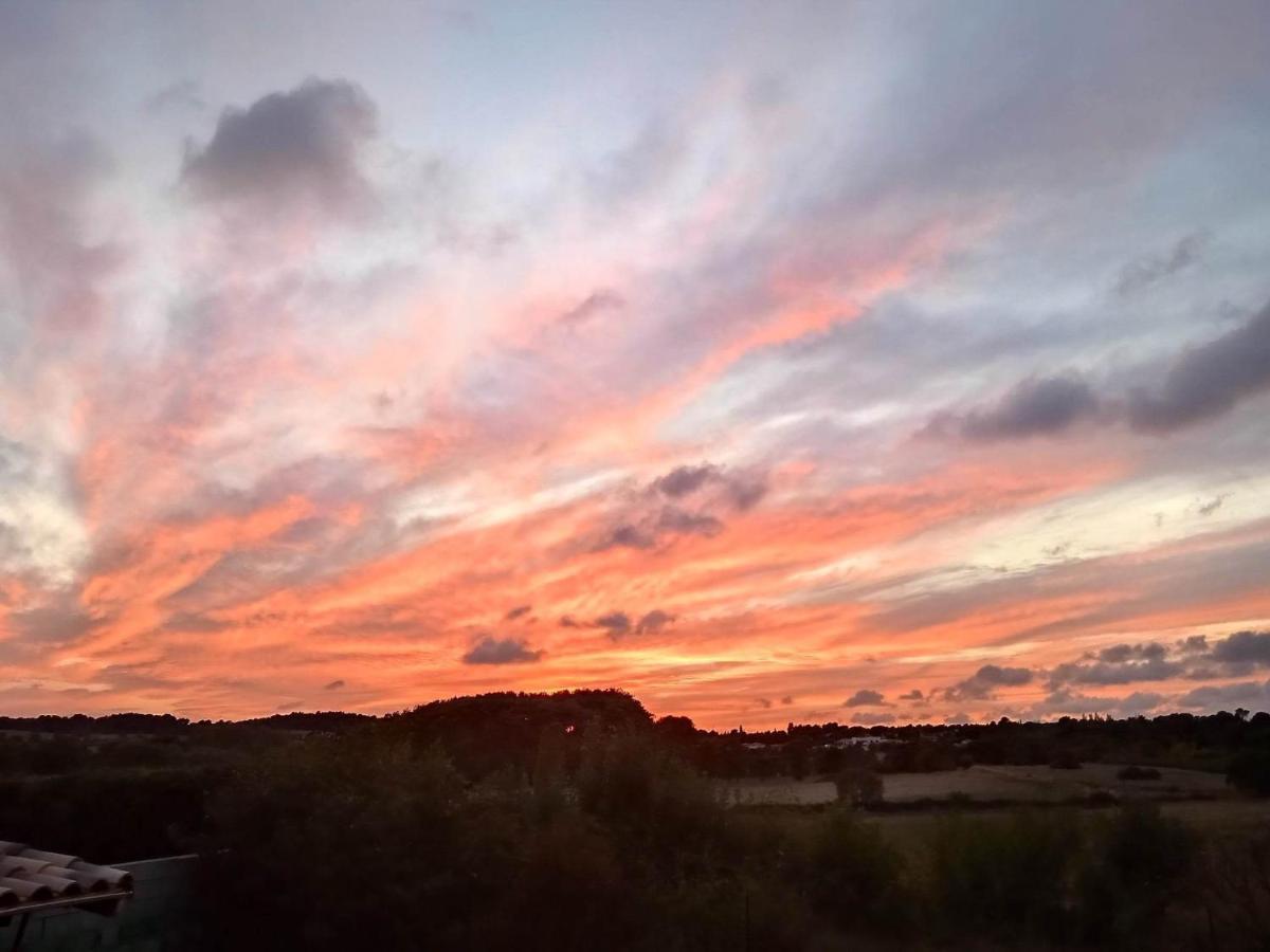 Au Soleil Couchant Villemoustaussou 外观 照片