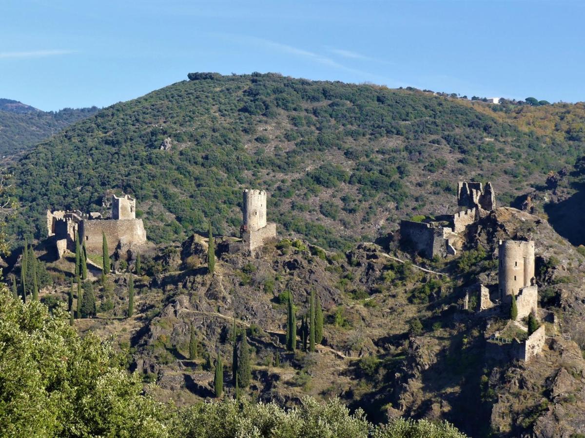 Au Soleil Couchant Villemoustaussou 外观 照片